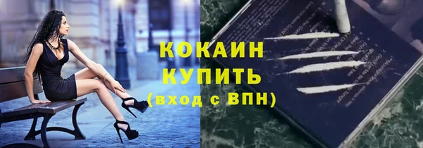 СК Гусев