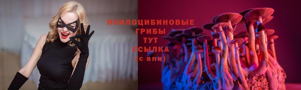 герыч Семилуки
