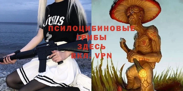 спиды Гусь-Хрустальный