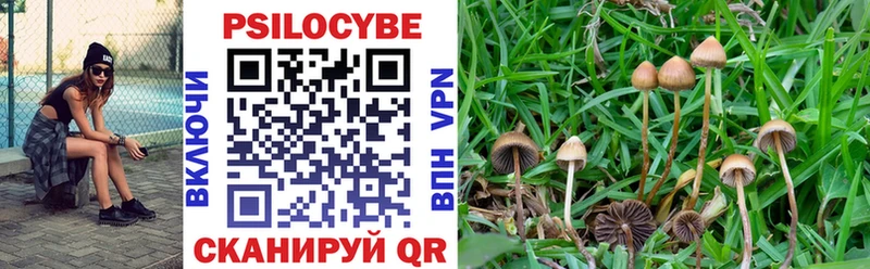Псилоцибиновые грибы Psilocybine cubensis  закладки  Енисейск 